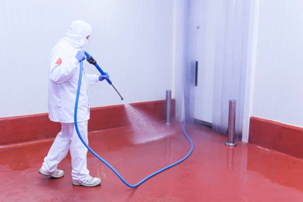 Best Brick and Stone Cleaning in Trempealeau, WI